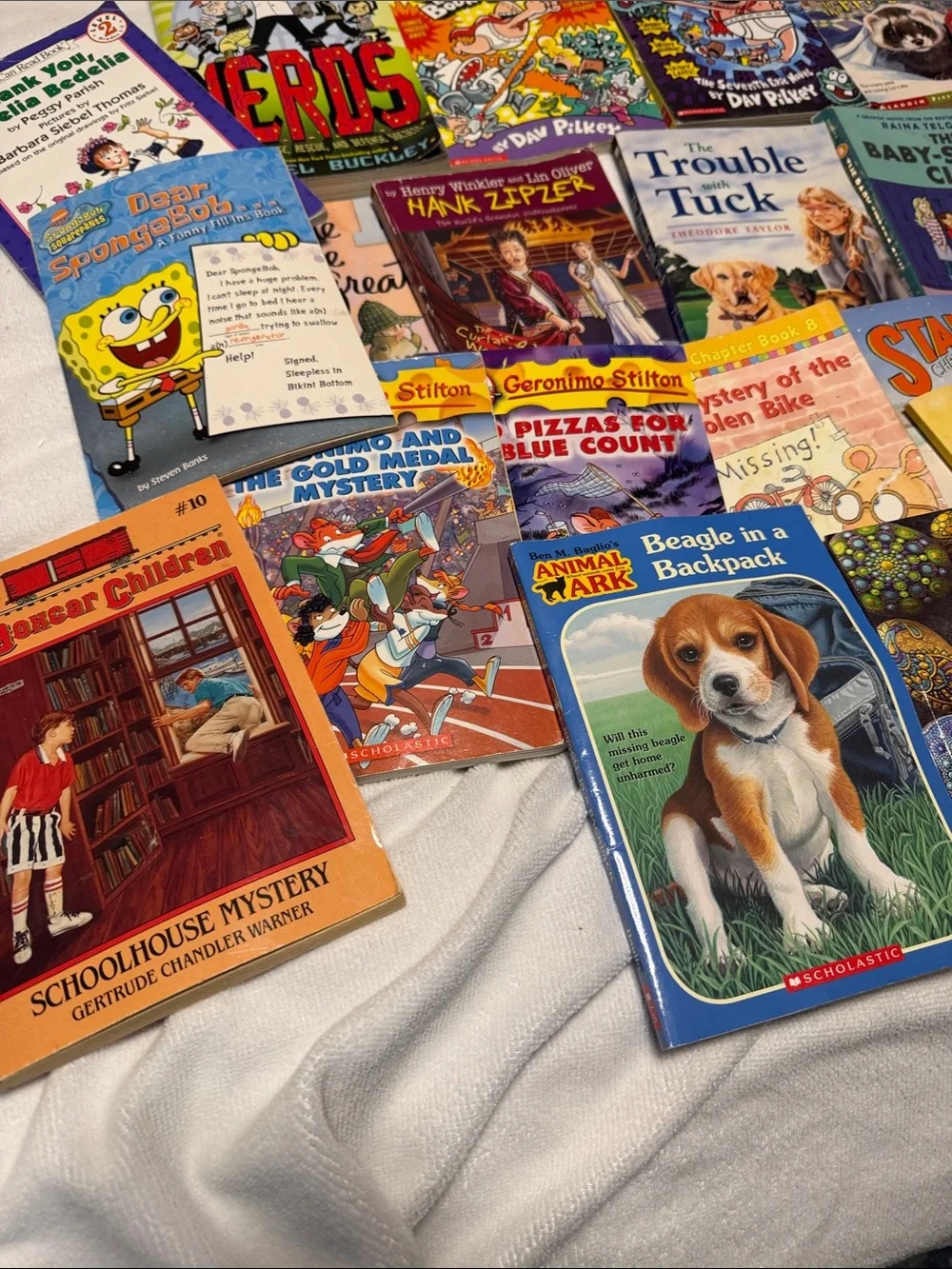 Scholastic early reader book lot. 24 books